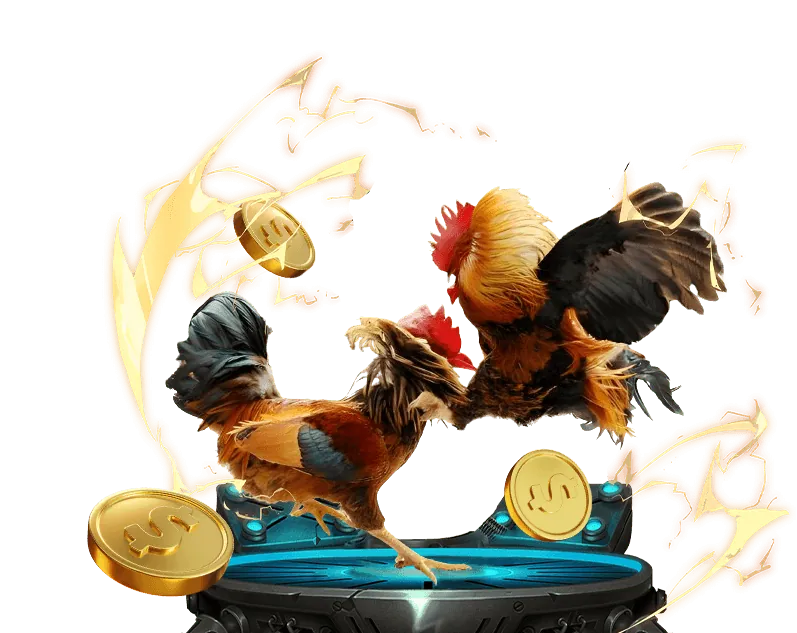 Lý do chọn vn88.pro